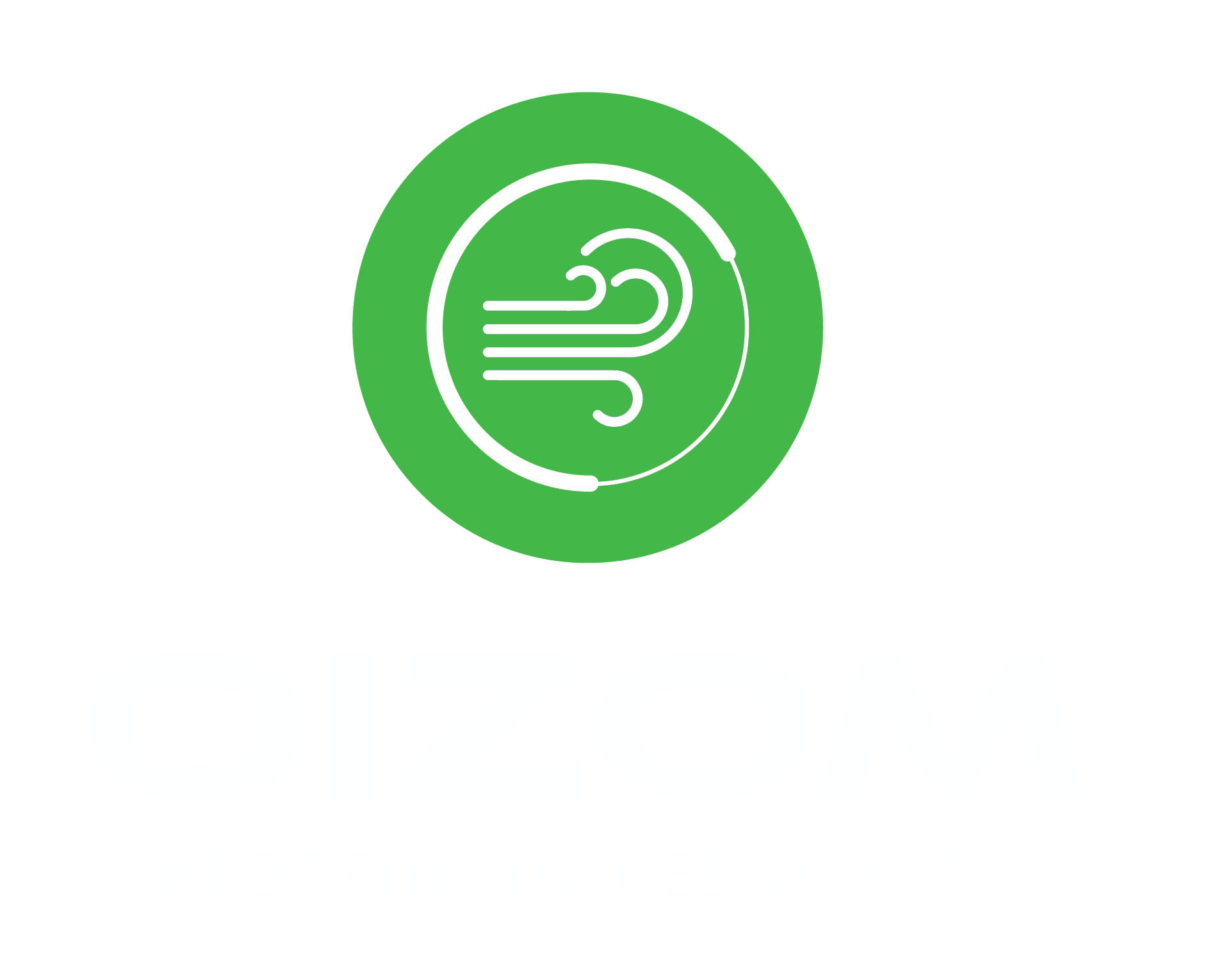 Oizom Logo